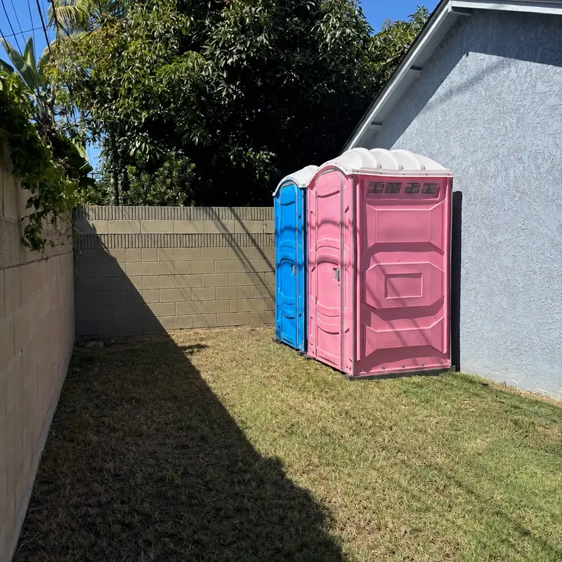 Blue and pink portable toilets set up in a backyard beside a wooden fence